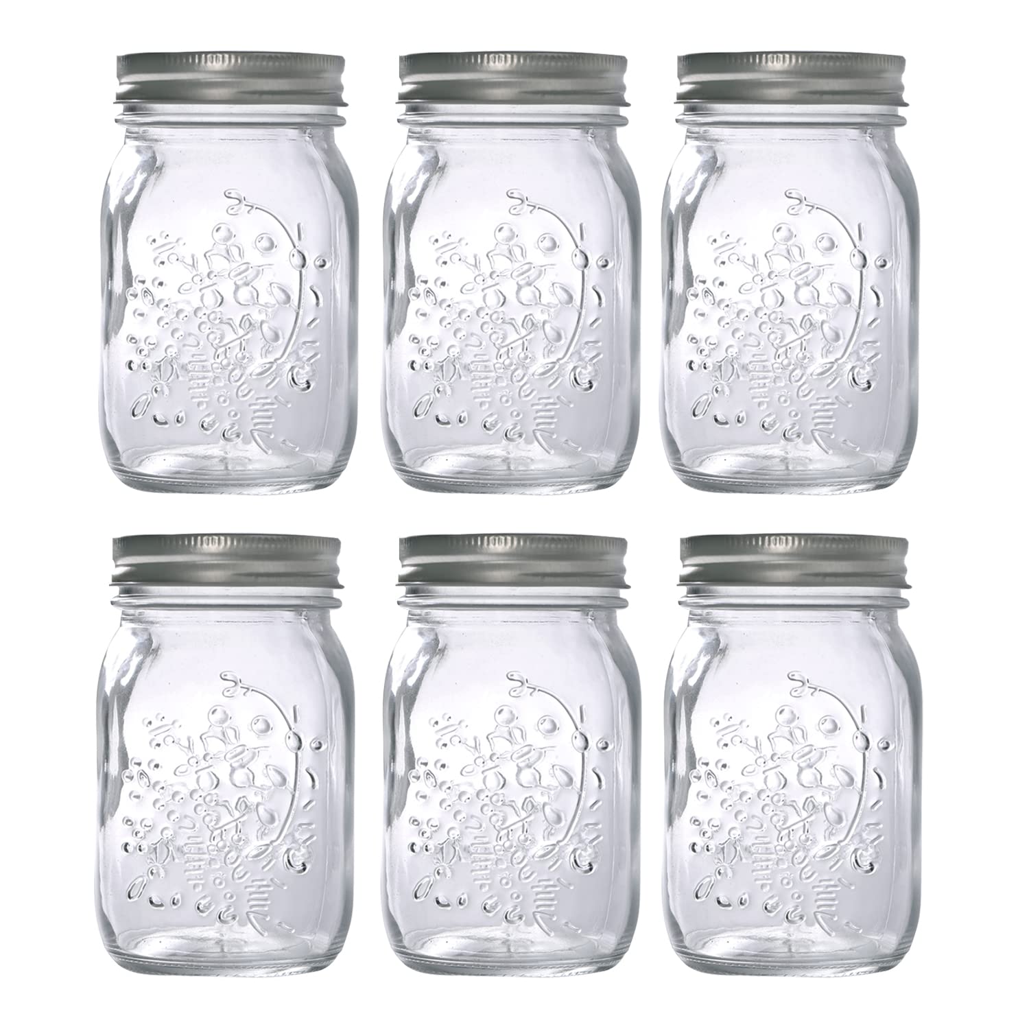 Hovico Mason Jars 17 oz With Regular Lids and Bands, Ideal for Jam,Dishwasher Safe Mason Jar for Fermenting, Kombucha, Kefir, Storing and Canning Uses, Clear- Set of 6