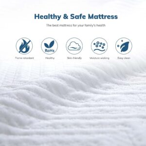 TMEOSK Queen Size Mattress, 8 inch Gel Memory Foam Mattress, Cooling Gel Green Tea Mattress Bed in a Box, Medium Firm Feel with Motion Isolating (Queen)