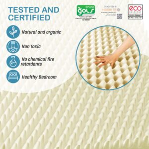 2.4" Green Natural Organic Egg Crate Latex Mattress Topper Twin XL Size - Soft Plush Pillow Top - GOLS Certified Convoluted Foam - Pressure Point Back Pain Relief Sleep Cool Bed Pad