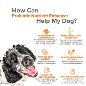 VetSmart Formulas Advanced Joint Supplement for Dogs Bundled with Probiotics and Critical Immune Defense for Dogs and Cats