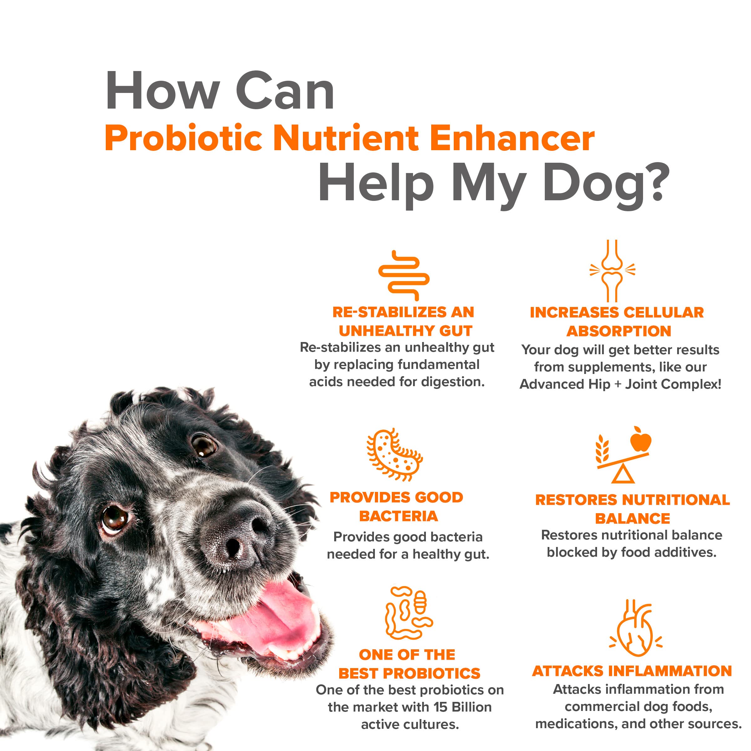 VetSmart Formulas Advanced Joint Supplement for Dogs Bundled with Probiotics and Critical Immune Defense for Dogs and Cats