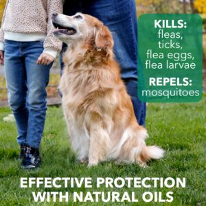 Hartz Nature’s Shield Flea & Tick Dog Shampoo Maximized Botanical Protection & Prevention with Cinnamon, Citronella & Rosemary Oils, 14 Ounces