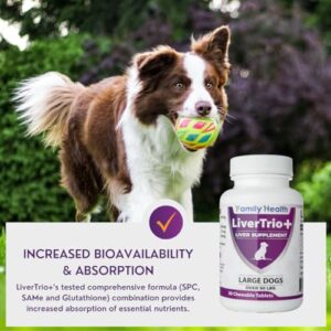 LiverTrio+ Comprehensive Liver Support Supplement for Large Dogs. Flavorful Chewable Tablets Combining Same, SPC, Silybin A+B, + Glutathione 30Ct (Large)