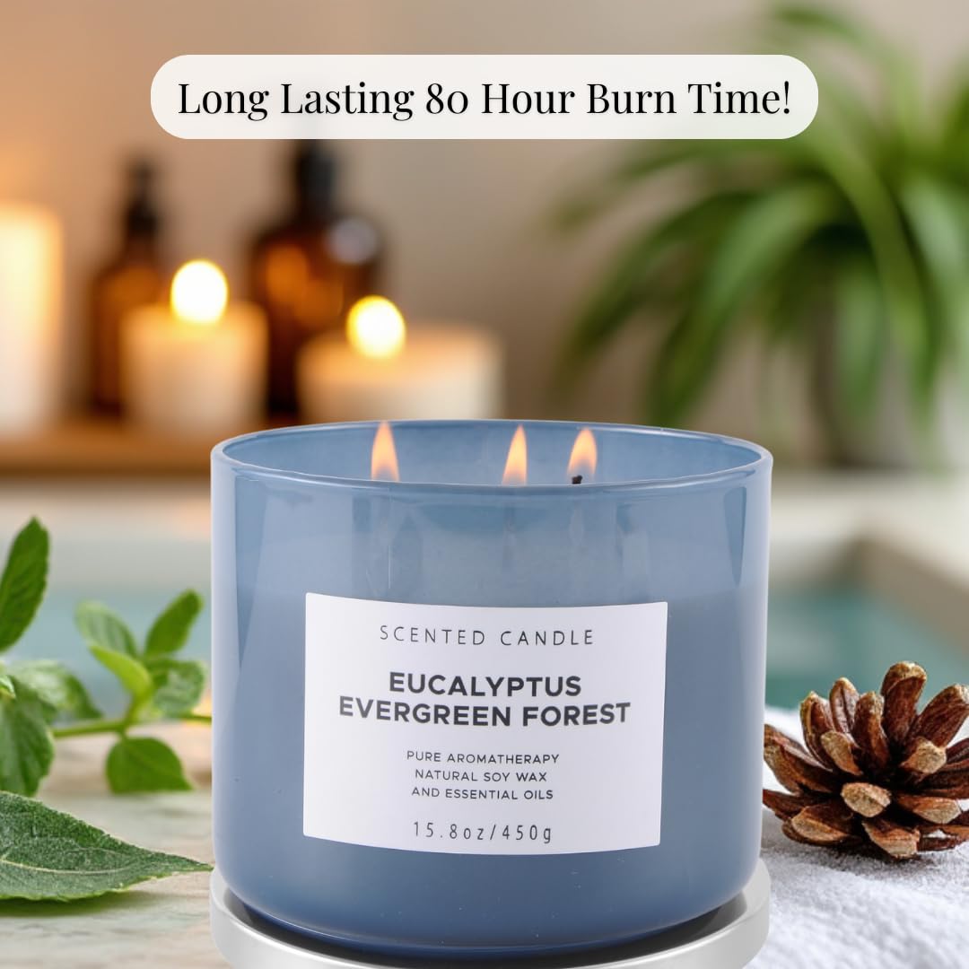 Eucalyptus Evergreen Forest Luxury 3 Wick Winter Pine Candle | Mens Candles, Scented Candles for Home | Aromatherapy Stress Relief Soy Candles 15.8 oz | Balsam Fir Woods Candles for Men & Women