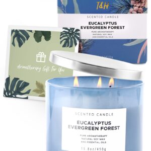 Eucalyptus Evergreen Forest Luxury 3 Wick Winter Pine Candle | Mens Candles, Scented Candles for Home | Aromatherapy Stress Relief Soy Candles 15.8 oz | Balsam Fir Woods Candles for Men & Women