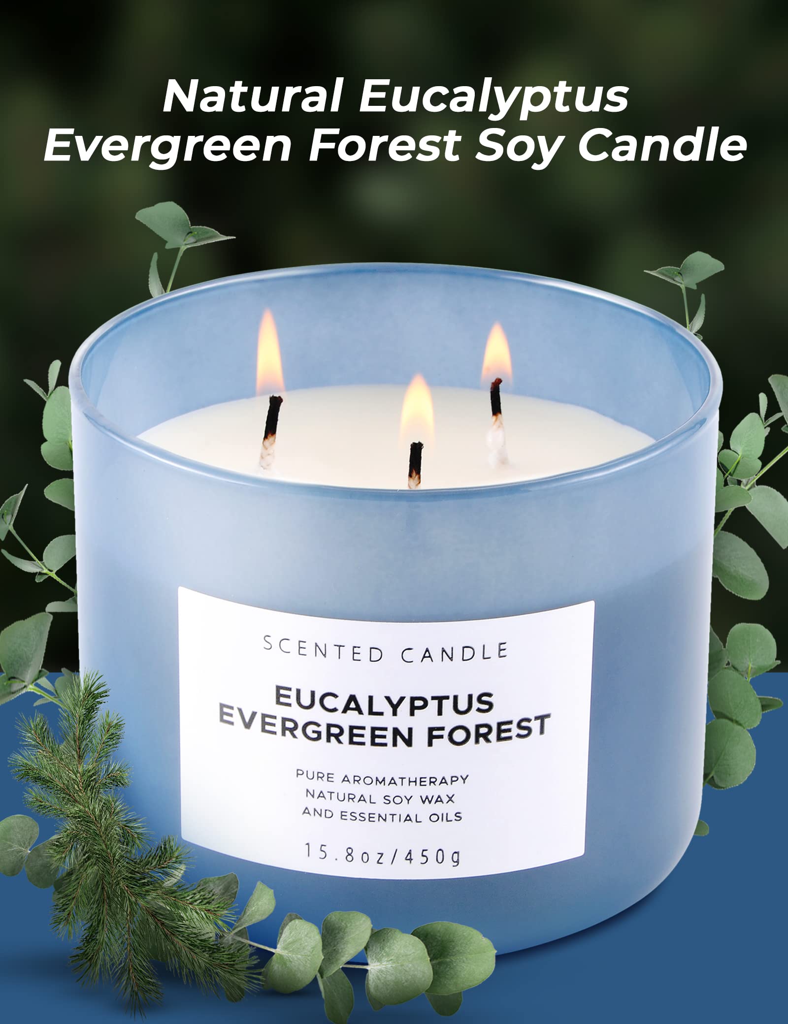 Eucalyptus Evergreen Forest Luxury 3 Wick Winter Pine Candle | Mens Candles, Scented Candles for Home | Aromatherapy Stress Relief Soy Candles 15.8 oz | Balsam Fir Woods Candles for Men & Women