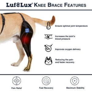 LufeLux Dog Knee Brace with Harness and Connection Belt, Lightweight and Stretchable, Support for Torn ACL Hind Leg, Luxating Patella, Reduces Arthritis Pain and Inflammation (X-Small)