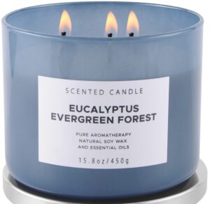 eucalyptus evergreen forest luxury 3 wick winter pine candle | mens candles, scented candles for home | aromatherapy stress relief soy candles 15.8 oz | balsam fir woods candles for men & women