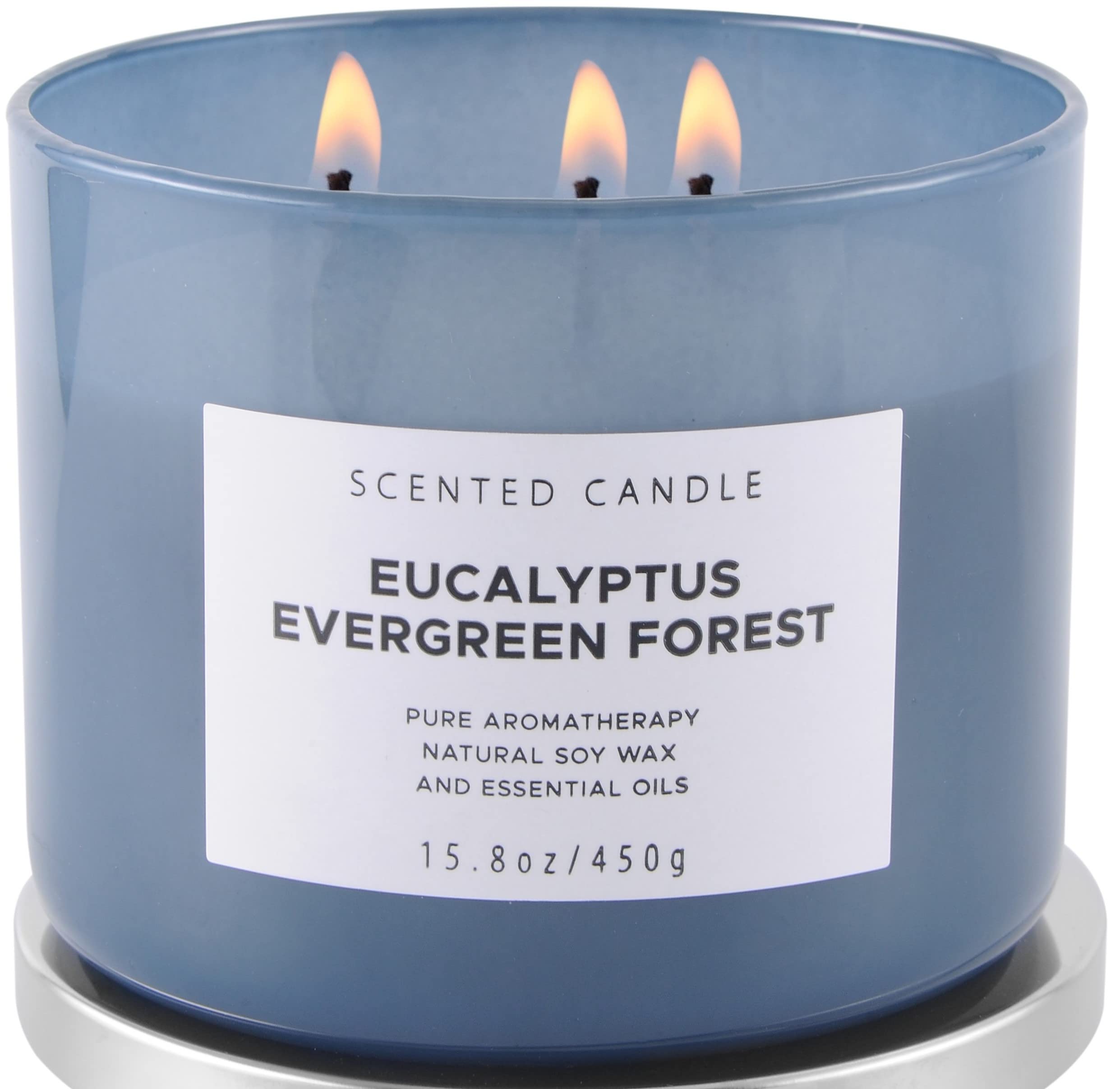 Eucalyptus Evergreen Forest Luxury 3 Wick Winter Pine Candle | Mens Candles, Scented Candles for Home | Aromatherapy Stress Relief Soy Candles 15.8 oz | Balsam Fir Woods Candles for Men & Women