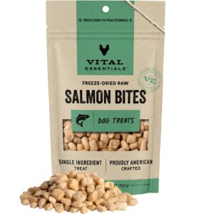 vital essentials freeze dried raw salmon bites dog treats, 2.5 oz | premium quality high protein training treats | grain free, gluten free, filler free