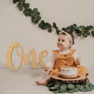 One Birthday Sign - 1st Birthday Party Decor - Perfect For First Birthday Photo Shoots, Cake Smashes, Photo Props