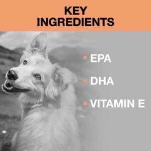 Nutriline Labs Omega 3 Fatty Acid Soft Chews for Dogs - Fish Oil Supplements with EPA, DHA & Vitamin E - Supports Immunity, Brain & Heart Wellness - Made in The USA - Yummy Beef Flavor - 90 Count