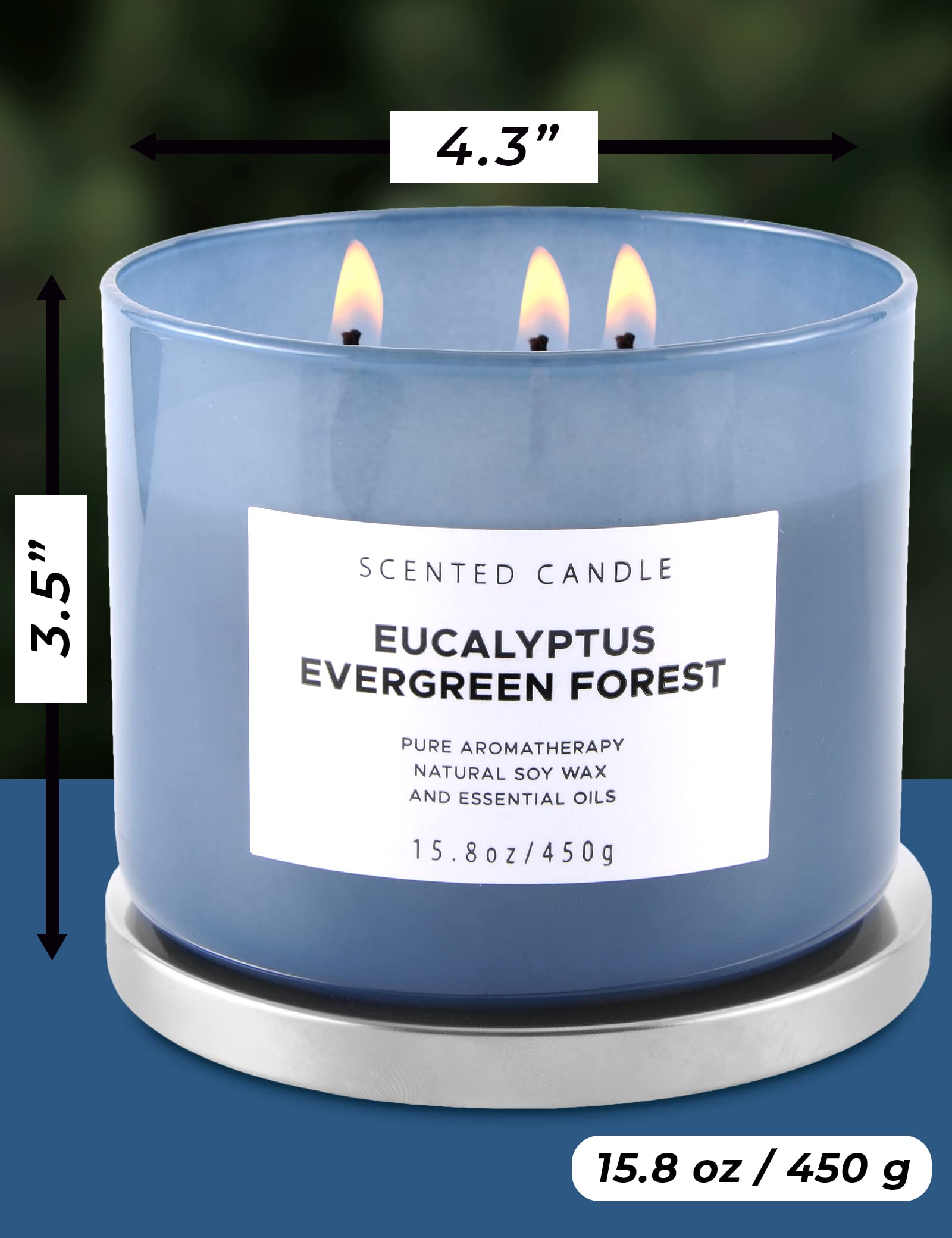 Eucalyptus Evergreen Forest Luxury 3 Wick Winter Pine Candle | Mens Candles, Scented Candles for Home | Aromatherapy Stress Relief Soy Candles 15.8 oz | Balsam Fir Woods Candles for Men & Women