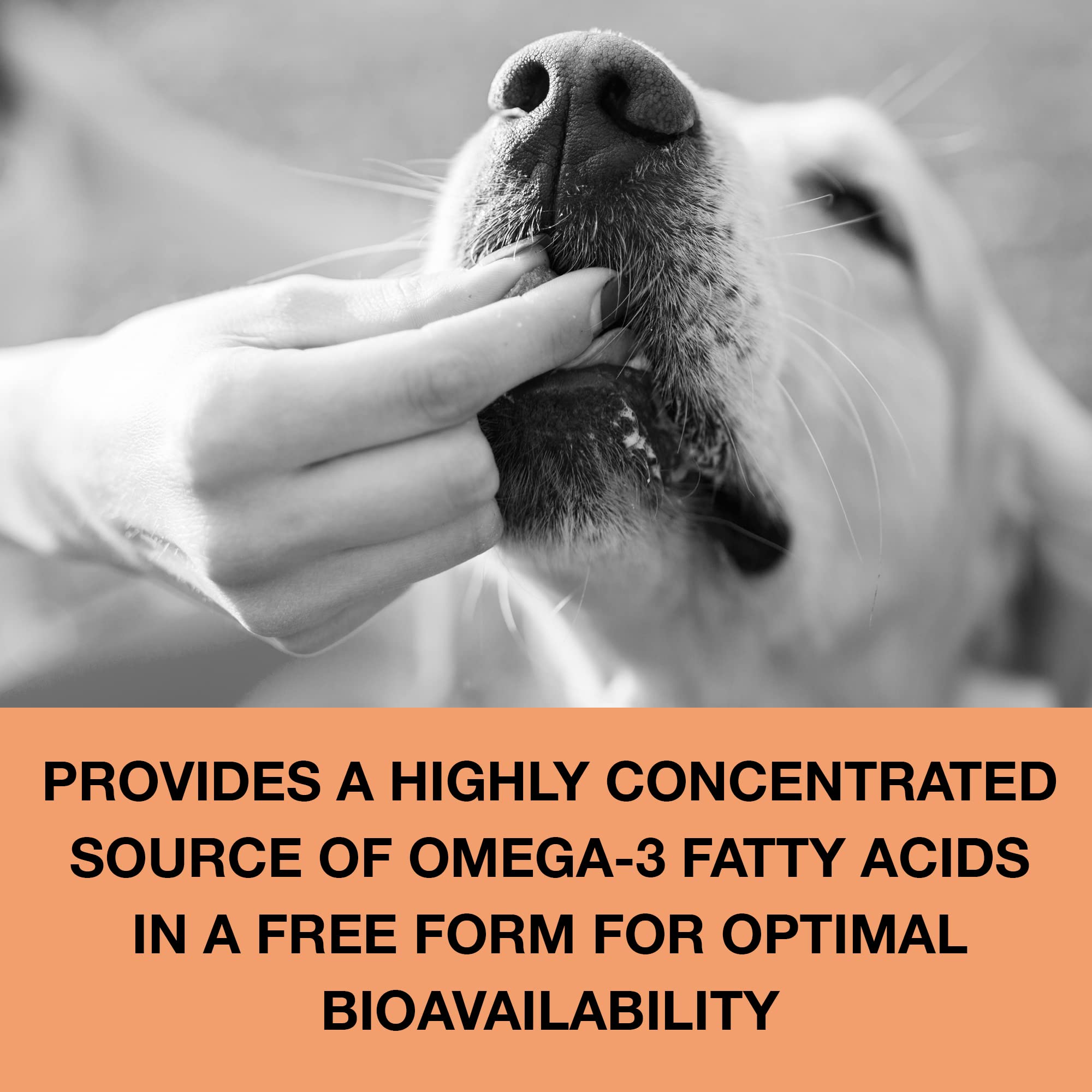 Nutriline Labs Omega 3 Fatty Acid Soft Chews for Dogs - Fish Oil Supplements with EPA, DHA & Vitamin E - Supports Immunity, Brain & Heart Wellness - Made in The USA - Yummy Beef Flavor - 90 Count