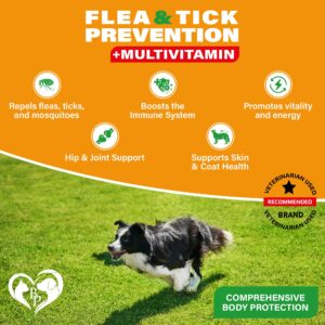 Flea and Tick Prevention Chewable Pills for Dogs - Revolution Oral Flea Treatment for Pets & Complex Multivitamin -Natural Pest Control & Defense Chews - Small Tablets Made in USA (10 Oz)