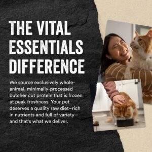 Vital Essentials Freeze Dried Raw Cat Treats, Minnows Treats, 0.5 oz