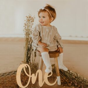 One Birthday Sign - 1st Birthday Party Decor - Perfect For First Birthday Photo Shoots, Cake Smashes, Photo Props