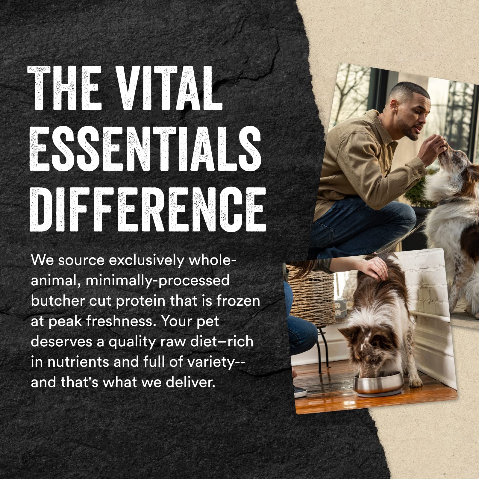 Vital Essentials Freeze Dried Raw Single Ingredient Dog Treats, Bully Sticks, 1.4 oz