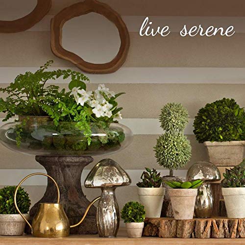 Serene Spaces Living Handmade Cattail Leaf Basket - Natural, Eco-Friendly & Durable - Perfect for Decoration, Storage, Potted Plant Cover/Cachepot or Gifting - KIT of 3 (Each in 3 Different Sizes)