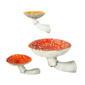 rehoc 3pcs mushroom shelf wall floating shelf decor shelves for bedroom, living room, bathroom and more