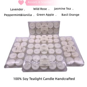 LITLUNA Soy Tealight Candles Scented w/Clear Cup- Pack 60,Assorted 6 Luxury Aromatheraphy Collect-Lavender/Rose/Jasmine Tea/Vanilla/Basil Orange/Apple, Pleasing Smell for Home,Camping,Trip