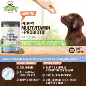 Strawfield Pets' Puppy Multivitamin + Probiotics for Dogs Puppy Vitamins with Joint Support Supplement for Dogs & Puppies Tasty Bacon Flavor 120 Soft Chews