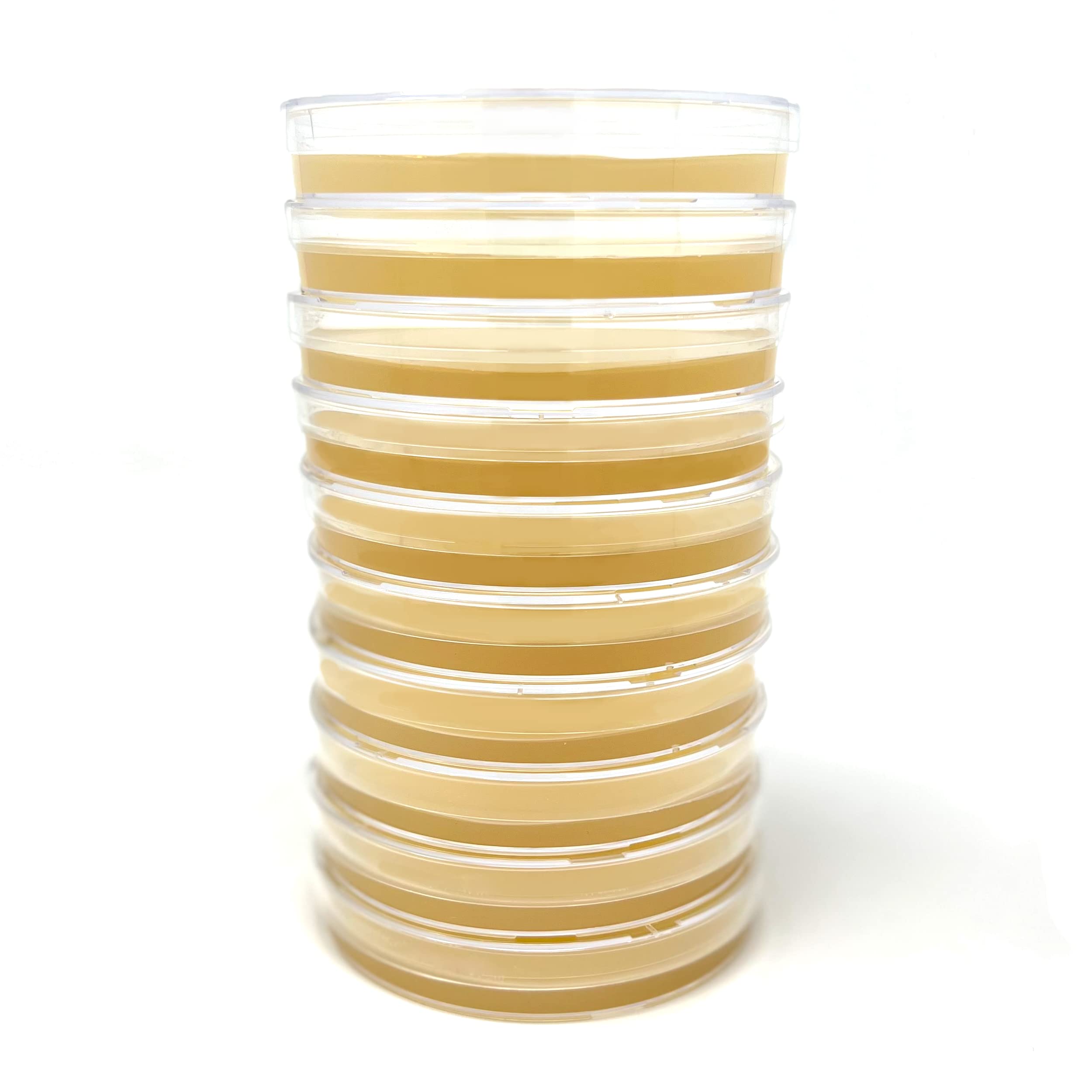 Olympus Myco Malt Yeast Extract Agar Plates (MYA) - 10 Sterile Prepoured Petri Dishes for Mushroom Cultivation & Science Projects - Now with Improved Packaging