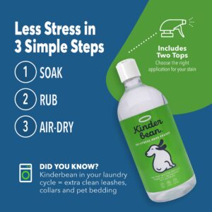 Kinderbean Dog & Cat Urine Stain and Odor Eliminator for Carpet, Upholstery, Hard Floors - Single 24 oz., Grapefruit Tea Tree Scent, Enzyme Bio-Active Formula with Squeeze and Spray Top