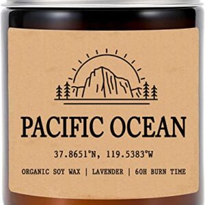 Pacific Ocean - California Scented Candle - Organic Soy Wax - Gift for Her - Gift for Him - New Home Gifts - Birthday Gift for Friend - National Park Gifts - State Candles