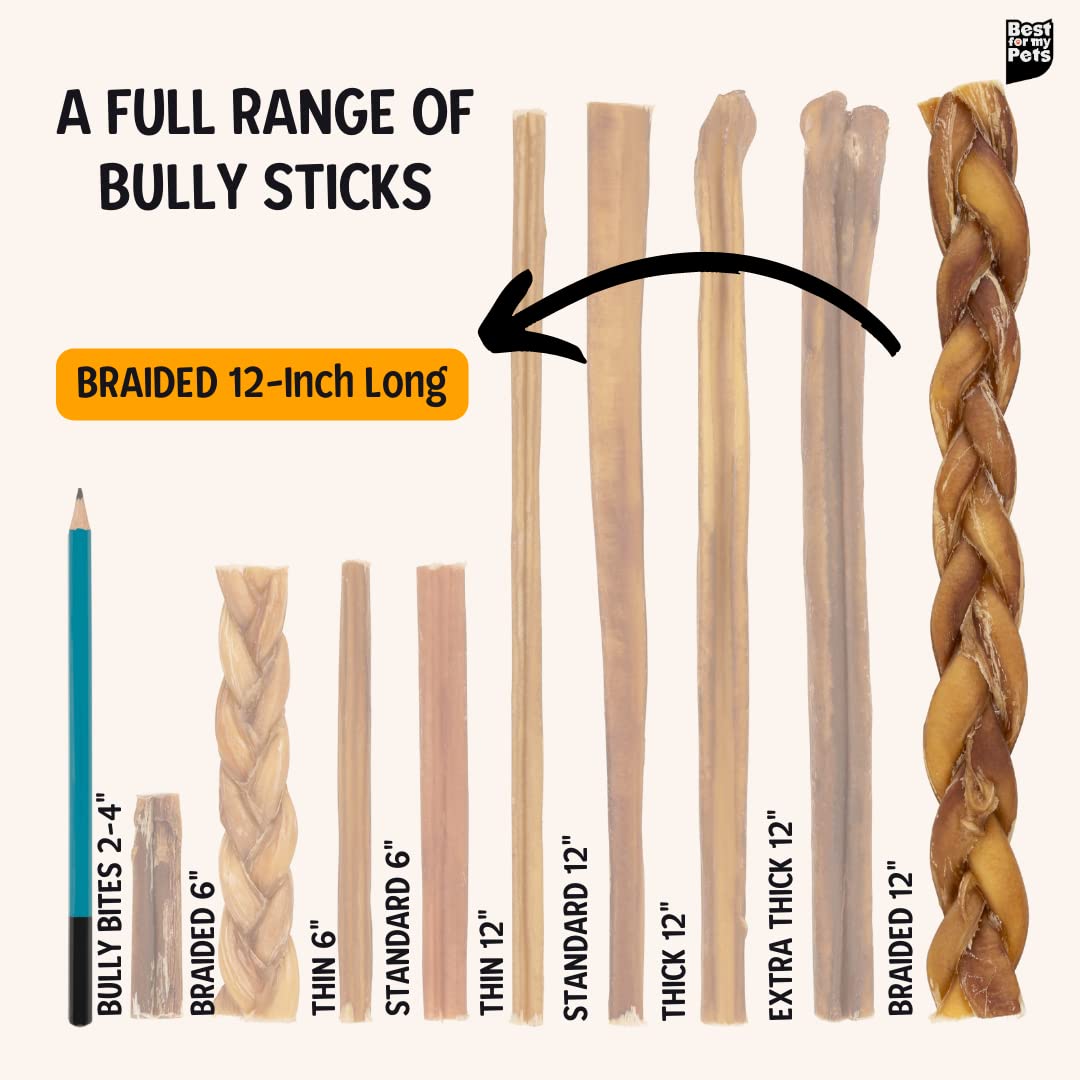 Best For My Pets Braided Bully Sticks for Dogs (12 Inch, 3 Pack) - Premium Long Lasting Dog Chew Treats to Keep Puppies and Dogs Happily Busy - Dog Dental Chews - Fully Digestible Rawhide-Free Treats