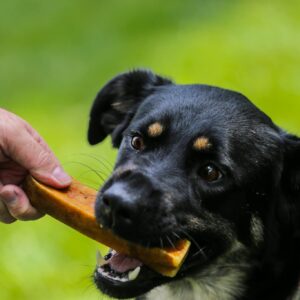 Top Dog Chews – Medium Himalayan Yak Cheese for Dogs, 100% Natural & Long-Lasting Dog Treats, Gluten Free & Digestible Cheese Sticks, Sold by The Pound (1LB, ~5 Dog Chews)