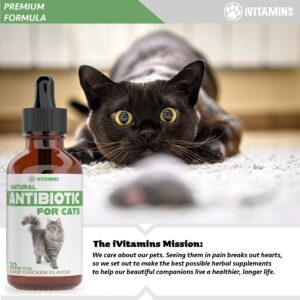 Natural Antibiotics for Cats | Cat Supplements | Cat Antibiotic | Cat Antibiotics | Cat Immune Support | Antibiotic for Cats | Cat Multivitamin | Multivitamin for Cats | 2 Pack: 60 Servings Total