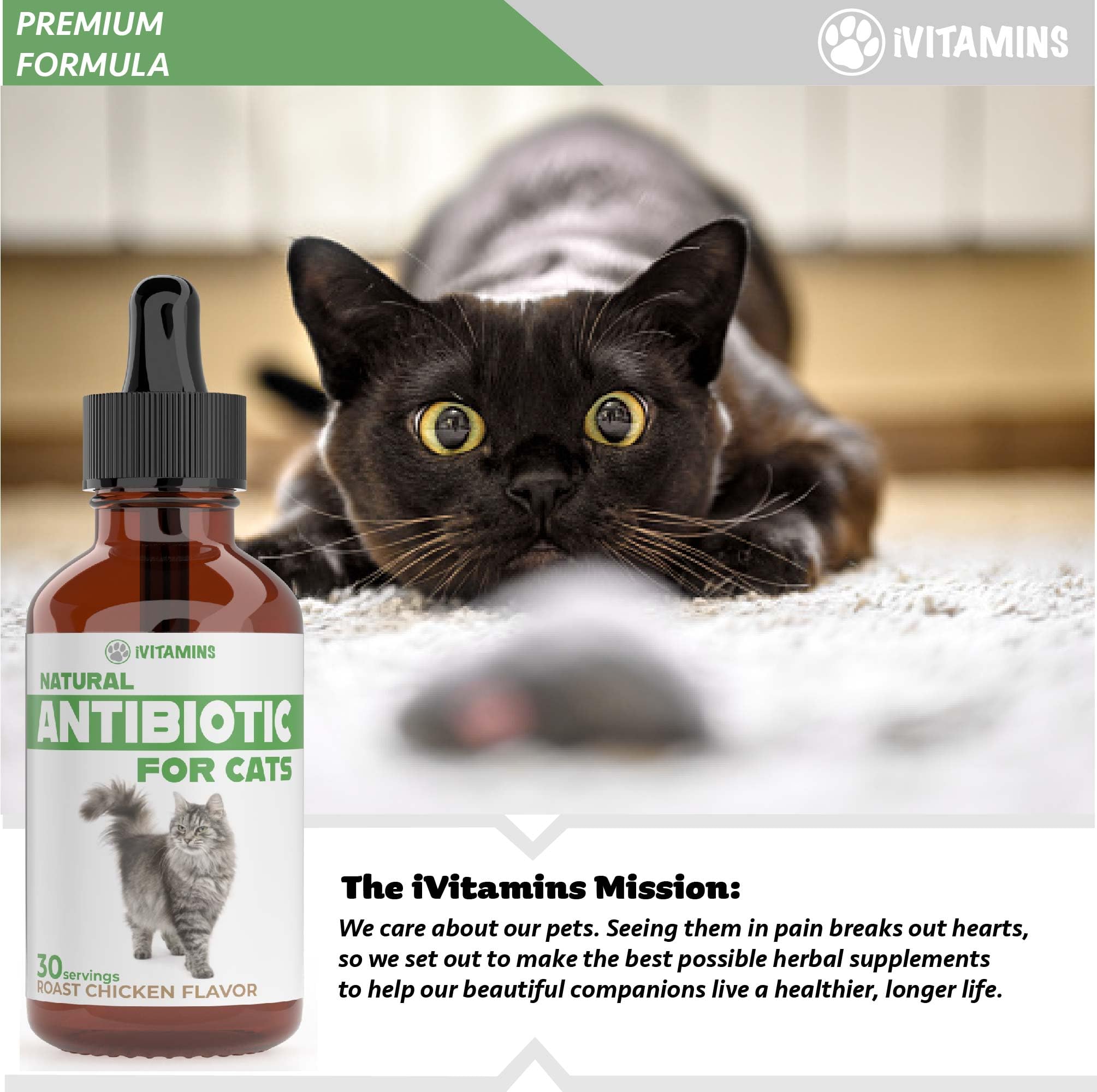 Natural Antibiotics for Cats | Cat Supplements | Cat Antibiotic | Cat Antibiotics | Cat Immune Support | Antibiotic for Cats | Cat Multivitamin | Multivitamin for Cats | 2 Pack: 60 Servings Total