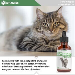 Natural Antibiotics for Cats | Cat Supplements | Cat Antibiotic | Cat Antibiotics | Cat Immune Support | Antibiotic for Cats | Cat Multivitamin | Multivitamin for Cats | 2 Pack: 60 Servings Total