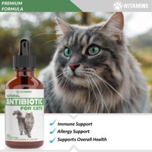 Natural Antibiotics for Cats | Cat Supplements | Cat Antibiotic | Cat Antibiotics | Cat Immune Support | Antibiotic for Cats | Cat Multivitamin | Multivitamin for Cats | 2 Pack: 60 Servings Total