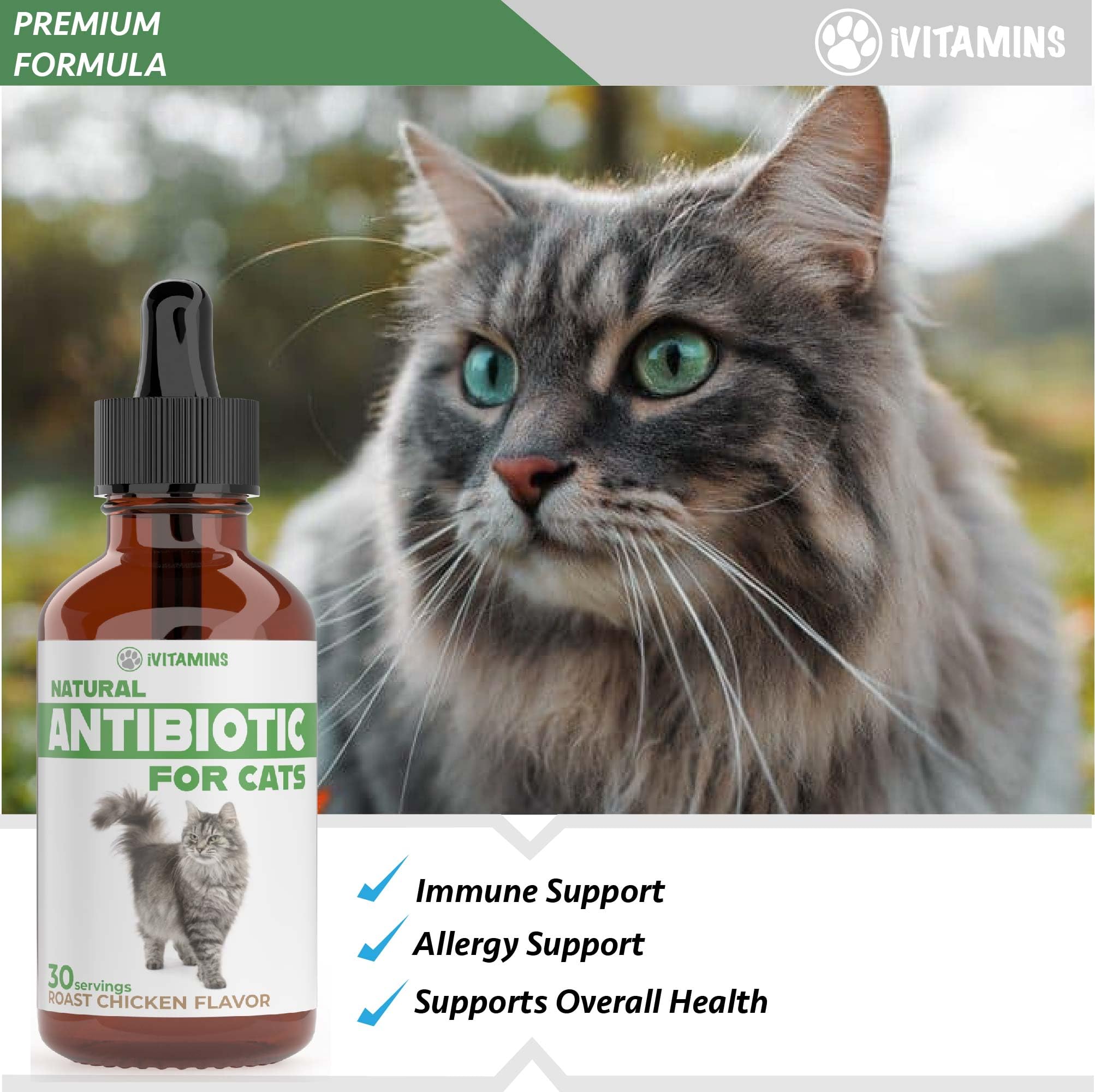 Natural Antibiotics for Cats | Cat Supplements | Cat Antibiotic | Cat Antibiotics | Cat Immune Support | Antibiotic for Cats | Cat Multivitamin | Multivitamin for Cats | 2 Pack: 60 Servings Total