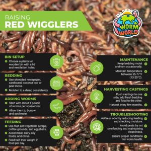 Live RED WIGGLERS Worms, Compost Worms, Composting Bins, Red Wiggler (100 Worms)