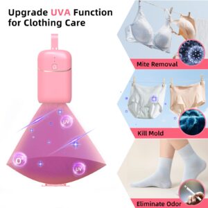 TJ. Portable Clothes Dryer, Mini Clothes Dryer with PTC Drying & UV Function, 180W Portable Dryer for Apartments with 1H/2H Timer for Underwear, Panties, Socks, Swimwear, Baby and Pet Clothes, Pink