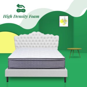 Greaton 14" Firm Foam Encased Mattress with Double Sided Eurotop, Mattresses Provide Comfortable Sleep, Maintains Complete Body Posture, Fully Assembled Bedding, Full XL