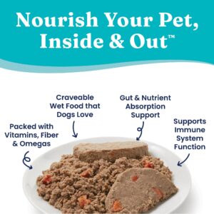 Solid Gold Canned Dog Food for Adult & Senior Dogs - Nutrientboost Hund-N-Flocken Made with Real Chicken and Healthy Whole Grains - High Calorie, High Protein Wet Dog Food - 6ct/12.5oz Cans