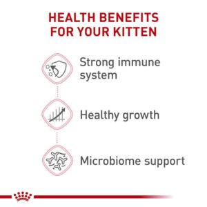 Royal Canin Feline Health Nutrition Dry Kitten Food, Supports Digestive Health, Immune Support and Healthy Energy, 3 lb Bag