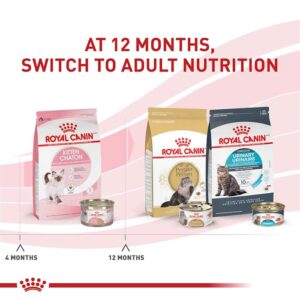 Royal Canin Feline Health Nutrition Dry Kitten Food, Supports Digestive Health, Immune Support and Healthy Energy, 3 lb Bag