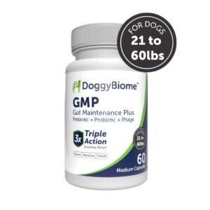 AnimalBiome Dog Probiotics - GMP Prebiotics and Probiotics - Reduce Diarrhea Flareups - for Dogs 21-40 lbs (60 Capsules) - DoggyBiome