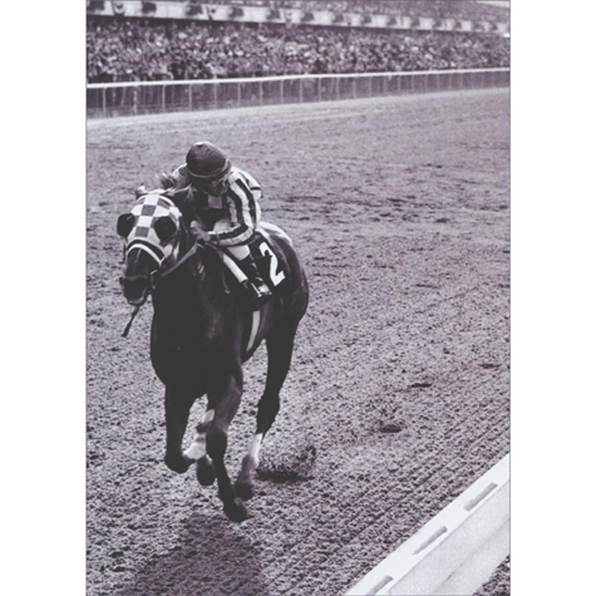 Avanti Press Secretariat Running Race at Belmont Park Vintage Photograph America Collection Birthday Card