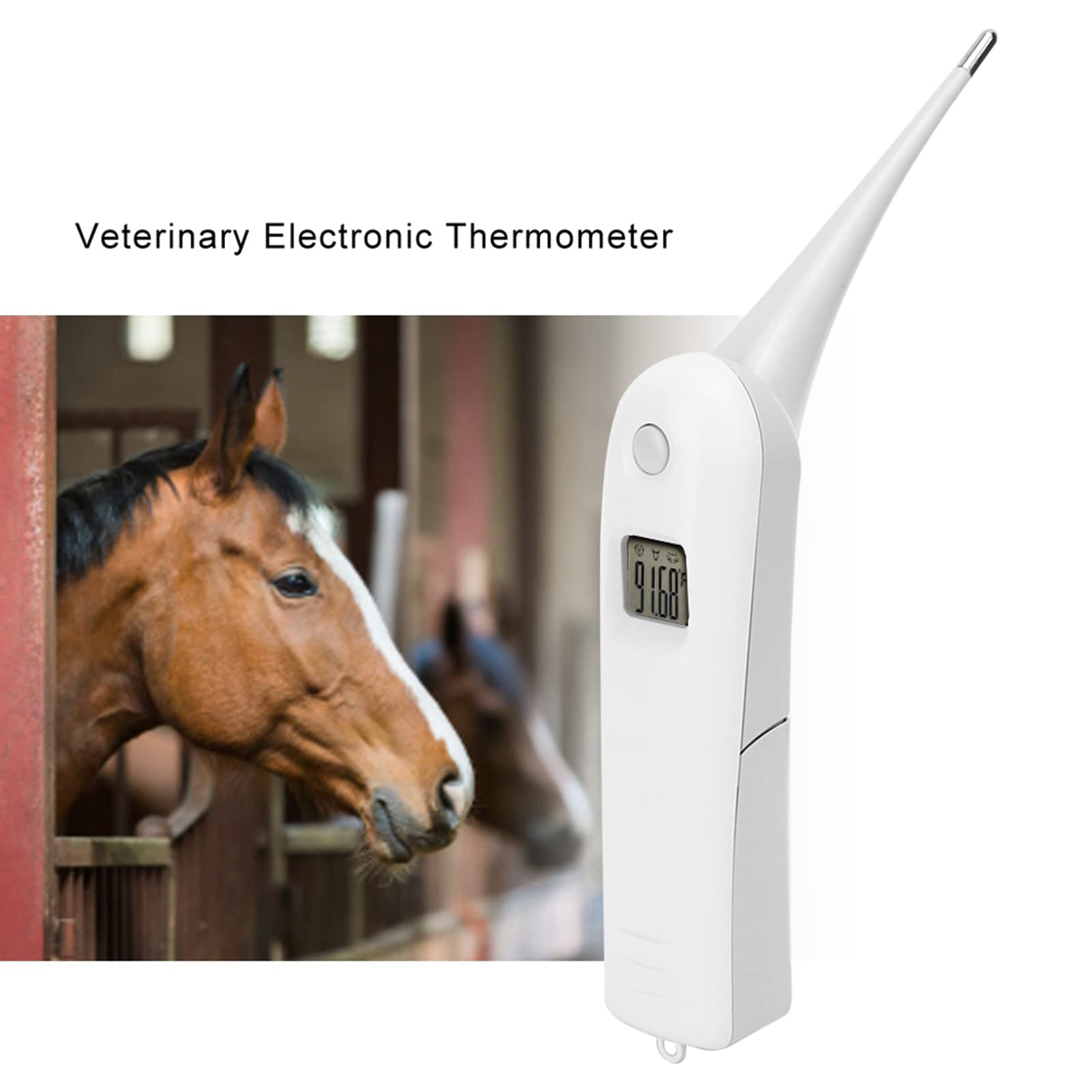 Electronic Pigs Cattle Sheep Thermometer, Dog Thermometer Pet Thermometer Anus Thermometer Fast Digital Veterinary Thermometer Temperature Tester for Livestock