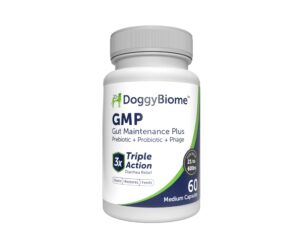 animalbiome dog probiotics - gmp prebiotics and probiotics - reduce diarrhea flareups - for dogs 21-40 lbs (60 capsules) - doggybiome