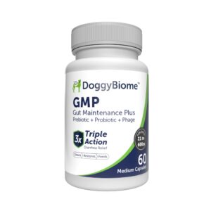 AnimalBiome Dog Probiotics - GMP Prebiotics and Probiotics - Reduce Diarrhea Flareups - for Dogs 21-40 lbs (60 Capsules) - DoggyBiome