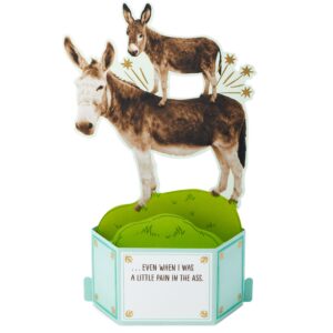 Hallmark Funny Pop Up Birthday Card from Son or Daughter (Donkeys, Pain in the...) Paper Wonder Shoebox 3D Card