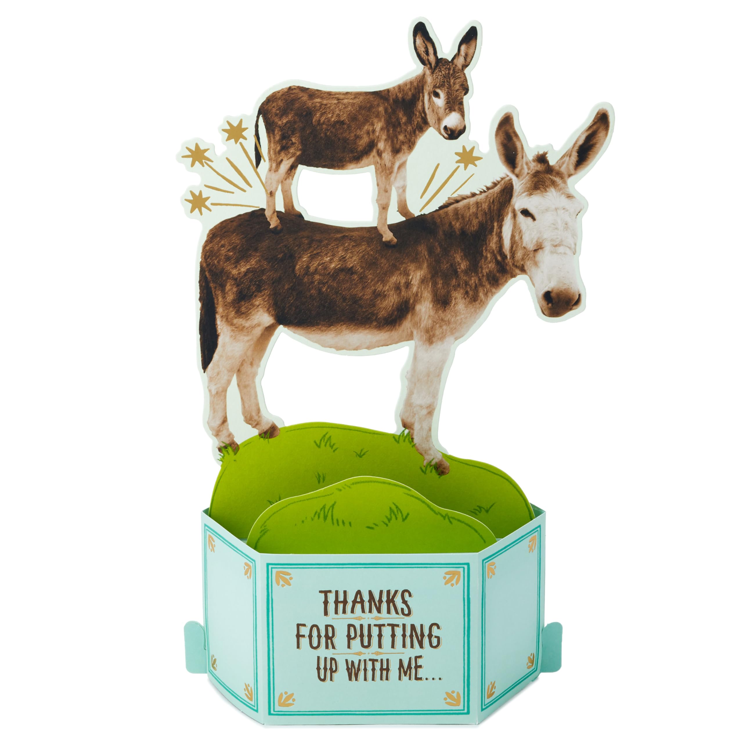 Hallmark Funny Pop Up Birthday Card from Son or Daughter (Donkeys, Pain in the...) Paper Wonder Shoebox 3D Card