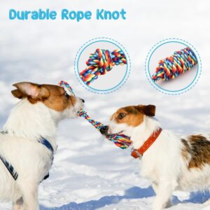 Depets Dog Rope Toy, 4PCS Assorted Puppy Chew Toy Pack, Durable Rope Knot Dog Toy, Puppy Teething Playing Toys for Small Dogs Puppies